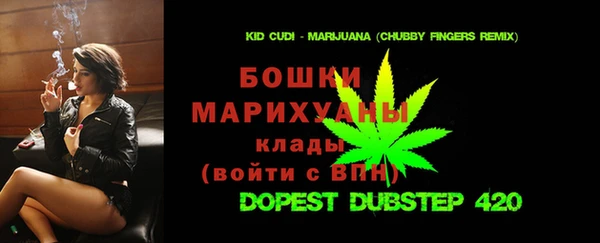 шишки Бронницы